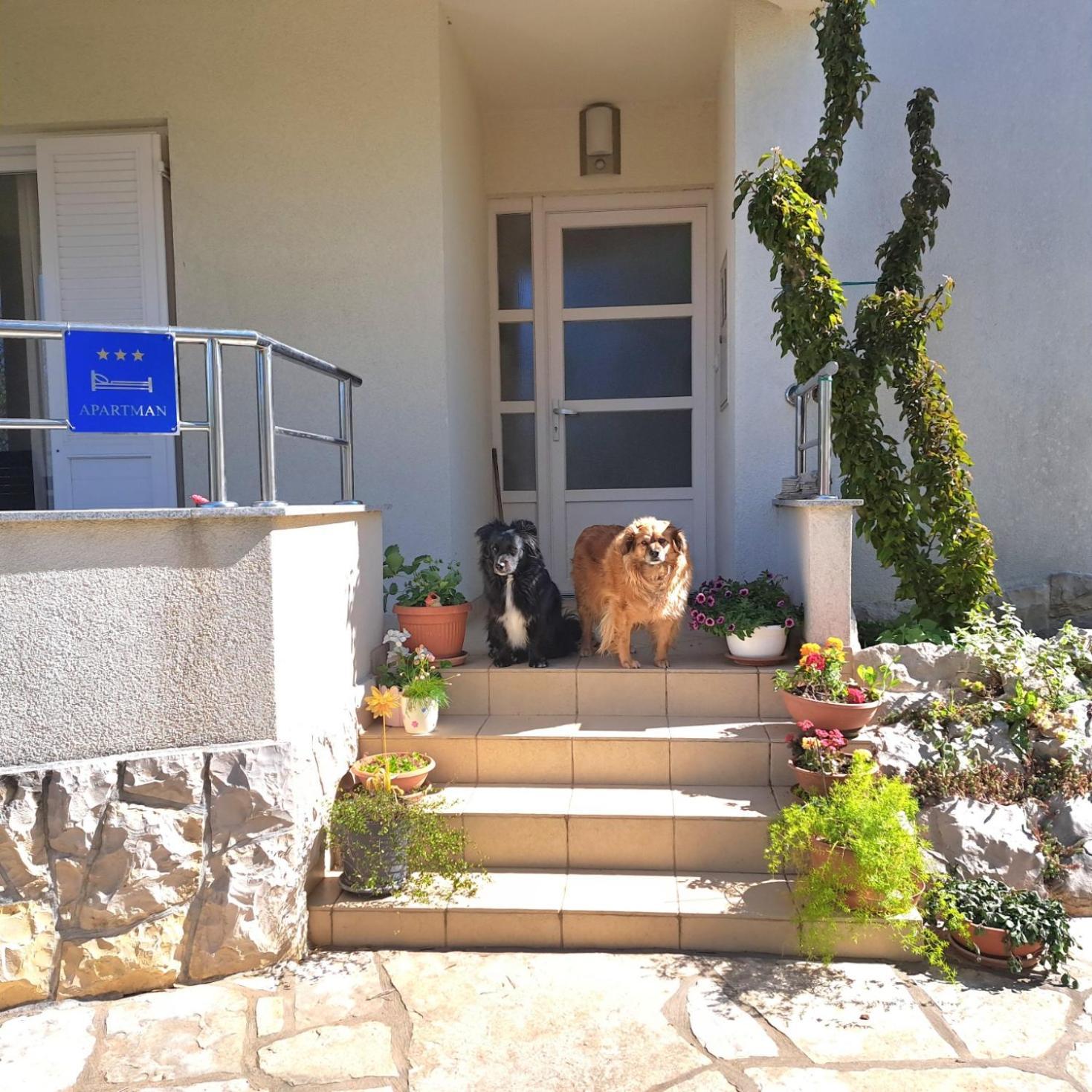 Petra Apartment Zadar Luaran gambar